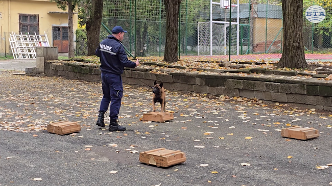 Занятие със служебното куче Аякс имаха учениците от Детското полицейско управление в Ловеч