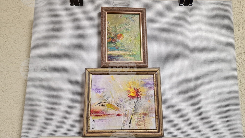 Шумен - Мариана Петкова - изложба