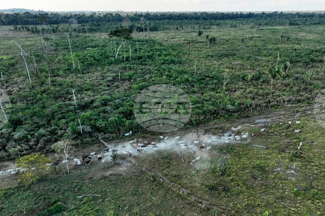 Climate Interpol Operation