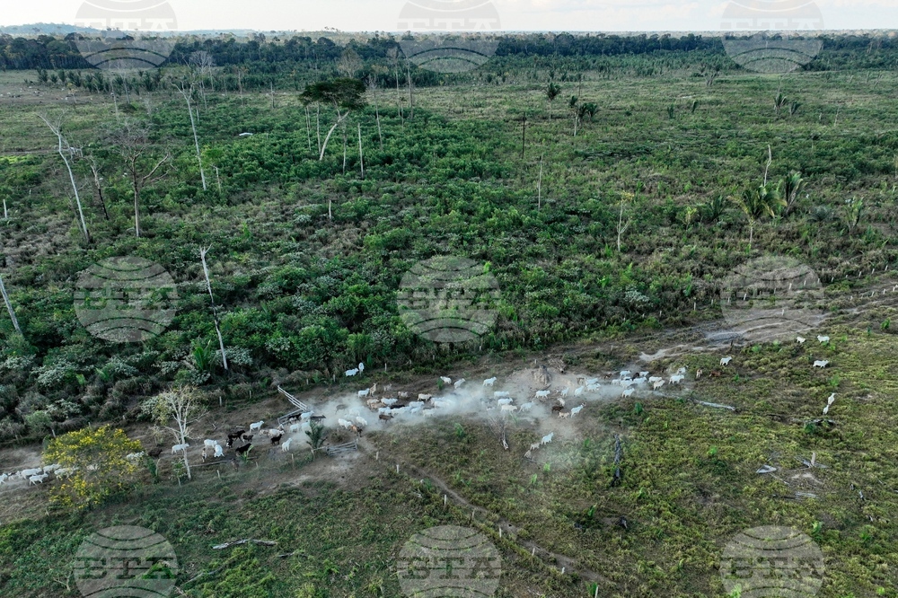 Climate Interpol Operation