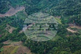 Climate Interpol Operation