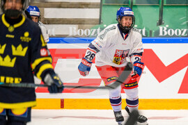 SwedenCzech Republic Hockey