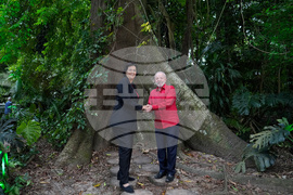 Brazil Climate COP30