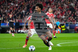 Portugal Soccer Champions League