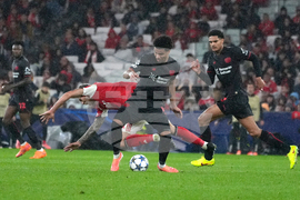 Portugal Soccer Champions League