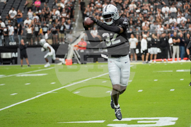 Raiders Johnson Football