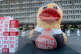 Remove RFK Jr. Rally