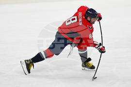 Blues Capitals Hockey