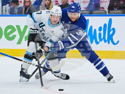 Mammoth Maple Leafs Hockey