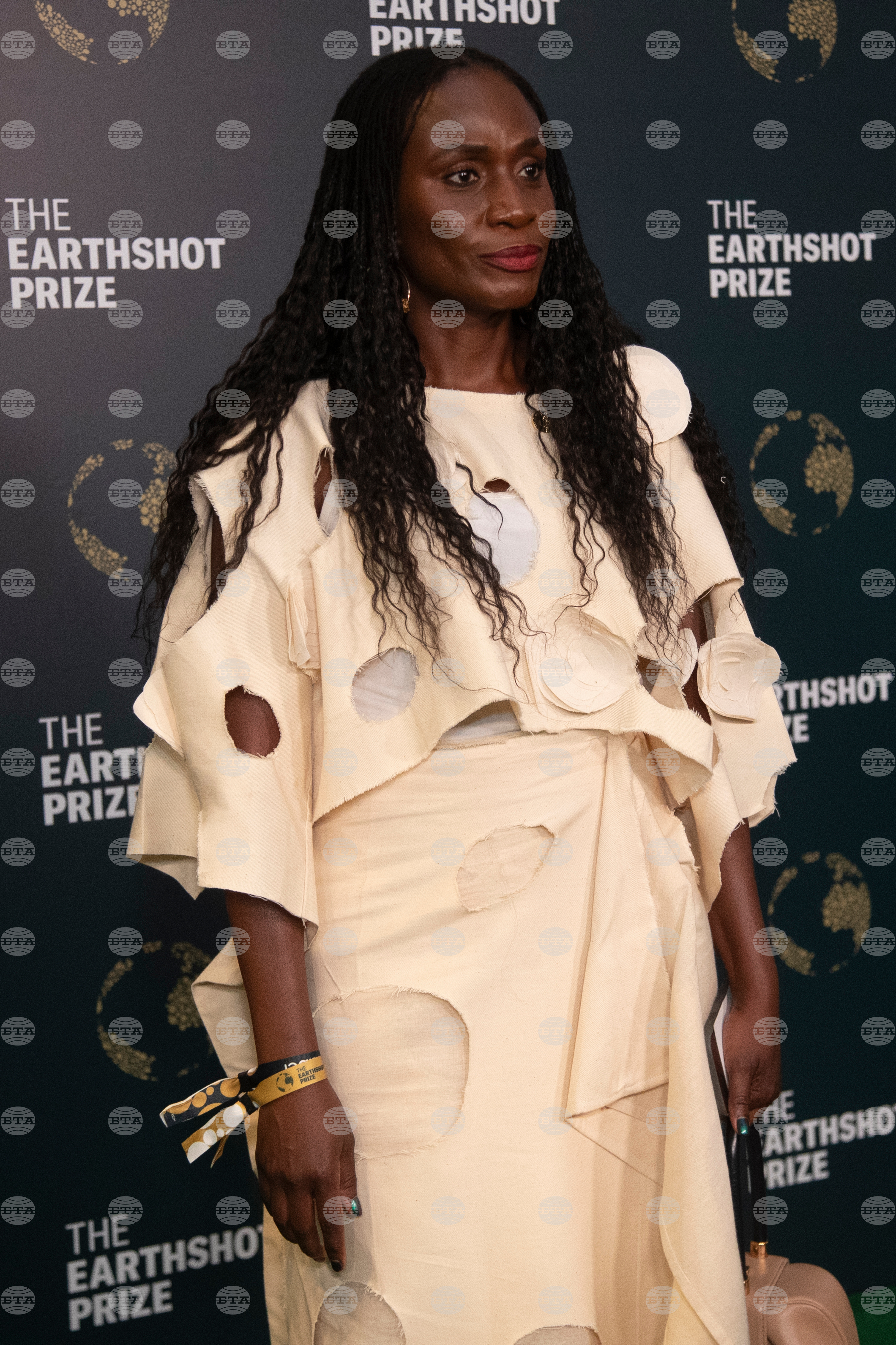 Brazil Earthshot Prize