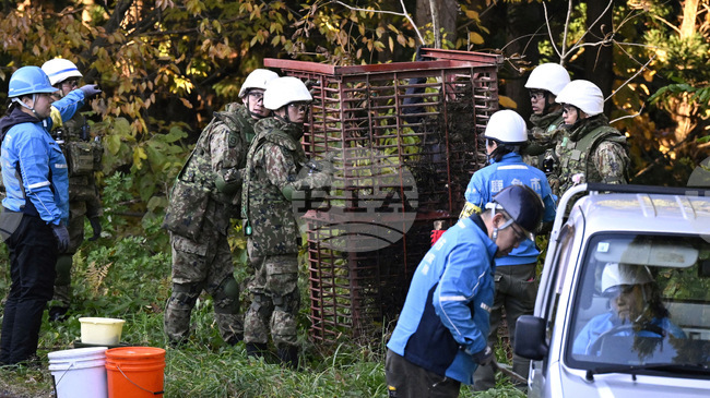 Град в Япония изтри от социалните си мрежи снимка на мечка, генерирана от изкуствен интелект 