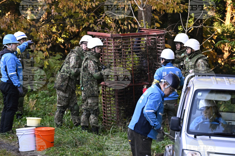 Град в Япония изтри от социалните си мрежи снимка на мечка, генерирана от изкуствен интелект 