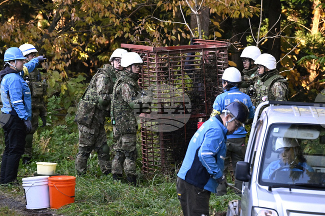 Град в Япония изтри от социалните си мрежи снимка на мечка, генерирана от изкуствен интелект 