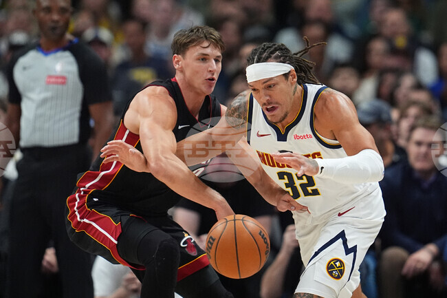 Heat Nuggets Basketball