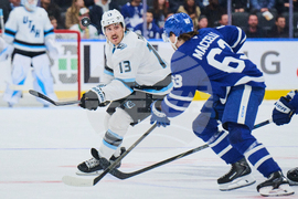 Mammoth Maple Leafs Hockey