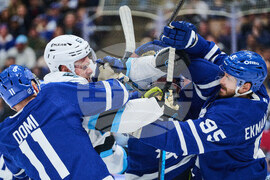 Mammoth Maple Leafs Hockey