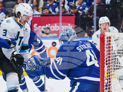 Mammoth Maple Leafs Hockey