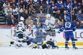 Mammoth Maple Leafs Hockey