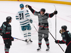 Sharks Kraken Hockey