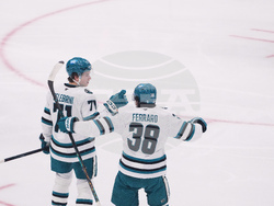 Sharks Kraken Hockey