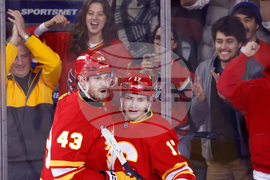 Blue Jackets Flames Hockey