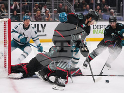Sharks Kraken Hockey