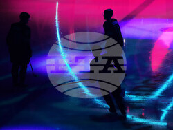 Sharks Kraken Hockey