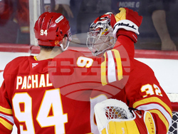 Blue Jackets Flames Hockey