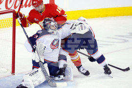 Blue Jackets Flames Hockey