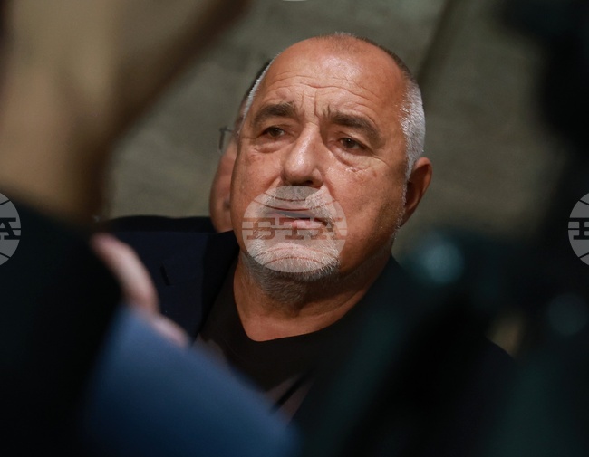 GERB-UDF Floor Leader Borissov Meets with German Federal Foreign Office's State Minister for Europe