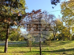 Снимка: Община Шумен