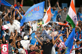 Australia India T20 Cricket