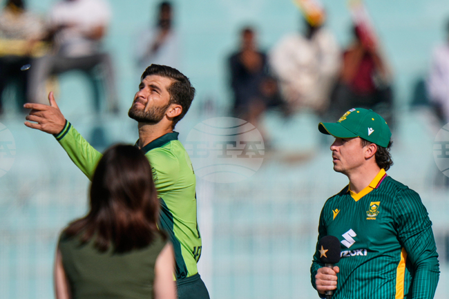 Pakistan South Africa Cricket