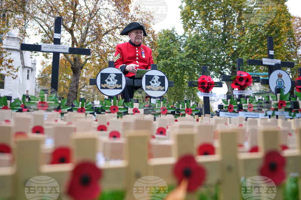 Britain Royals Remembrance