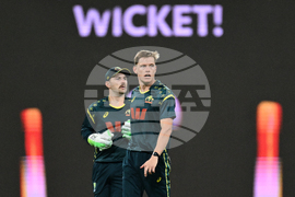 Australia India T20 Cricket