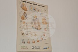 Сандански - доктор Илия Тонев - интервю