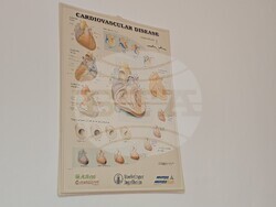 Сандански - доктор Илия Тонев - интервю