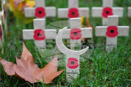 APTOPIX Britain Royals Remembrance