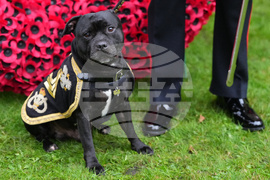 Britain Royals Remembrance