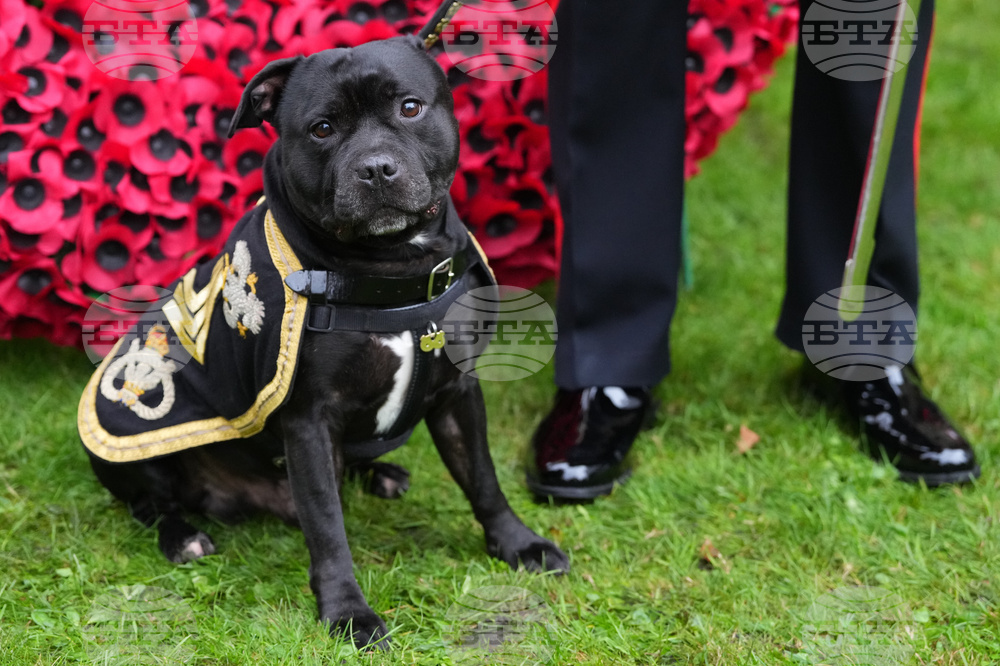 Britain Royals Remembrance