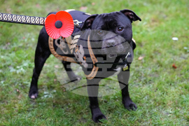 Britain Royals Remembrance