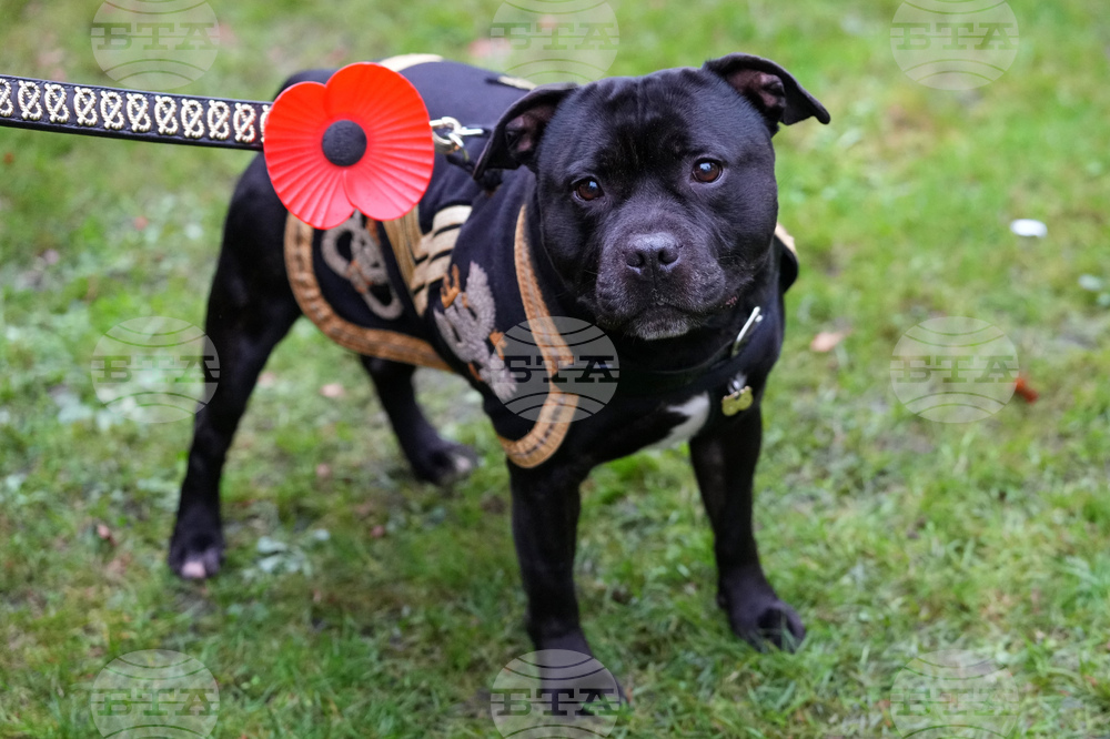 Britain Royals Remembrance