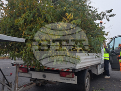 Снимка: АПИ