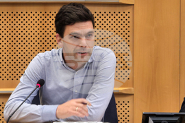 Белгия - български евродепутати - работа на ЕП