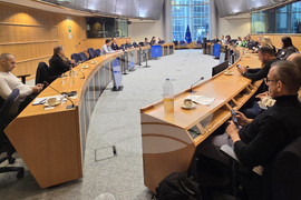 Белгия - български евродепутати - работа на ЕП