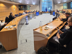 Белгия - български евродепутати - работа на ЕП