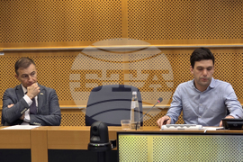 Белгия - български евродепутати - работа на ЕП