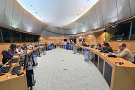 Белгия - български евродепутати - работа на ЕП