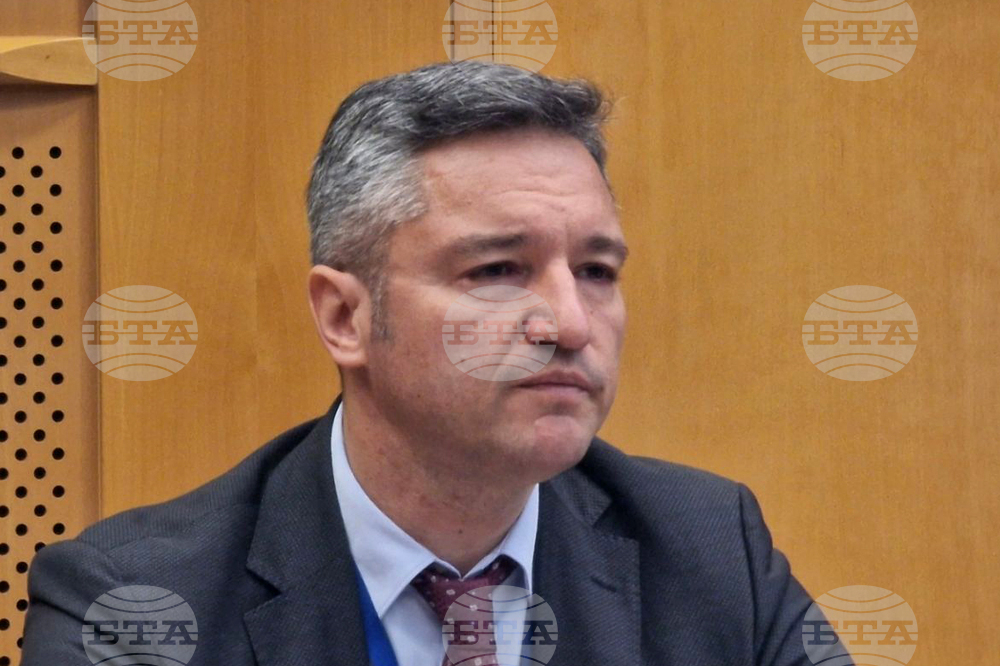 Белгия - български евродепутати - работа на ЕП