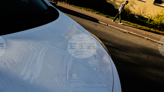 Полицията в Германия разследва появата на свастики, изрисувани с човешка кръв